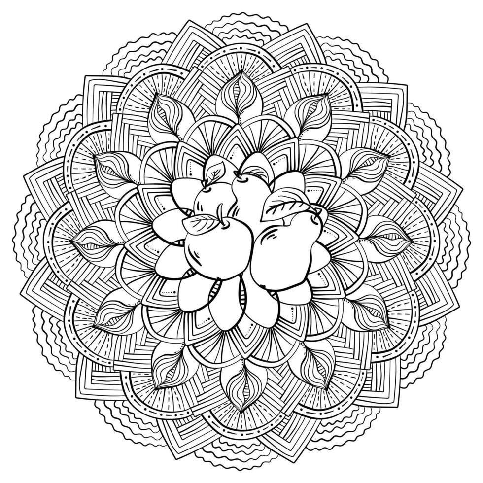 Abstract doodle mandala with fruits, doodle coloring page for design and creativity vector