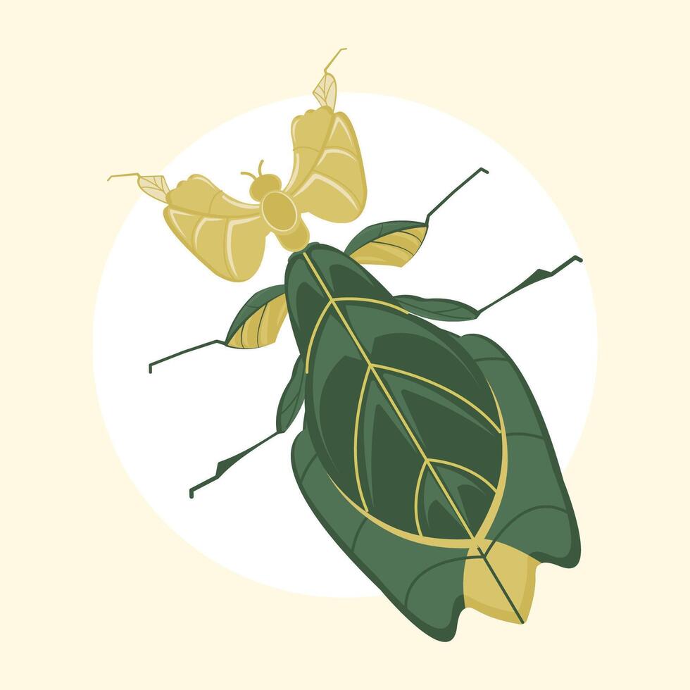 Leaf praying mantis vector