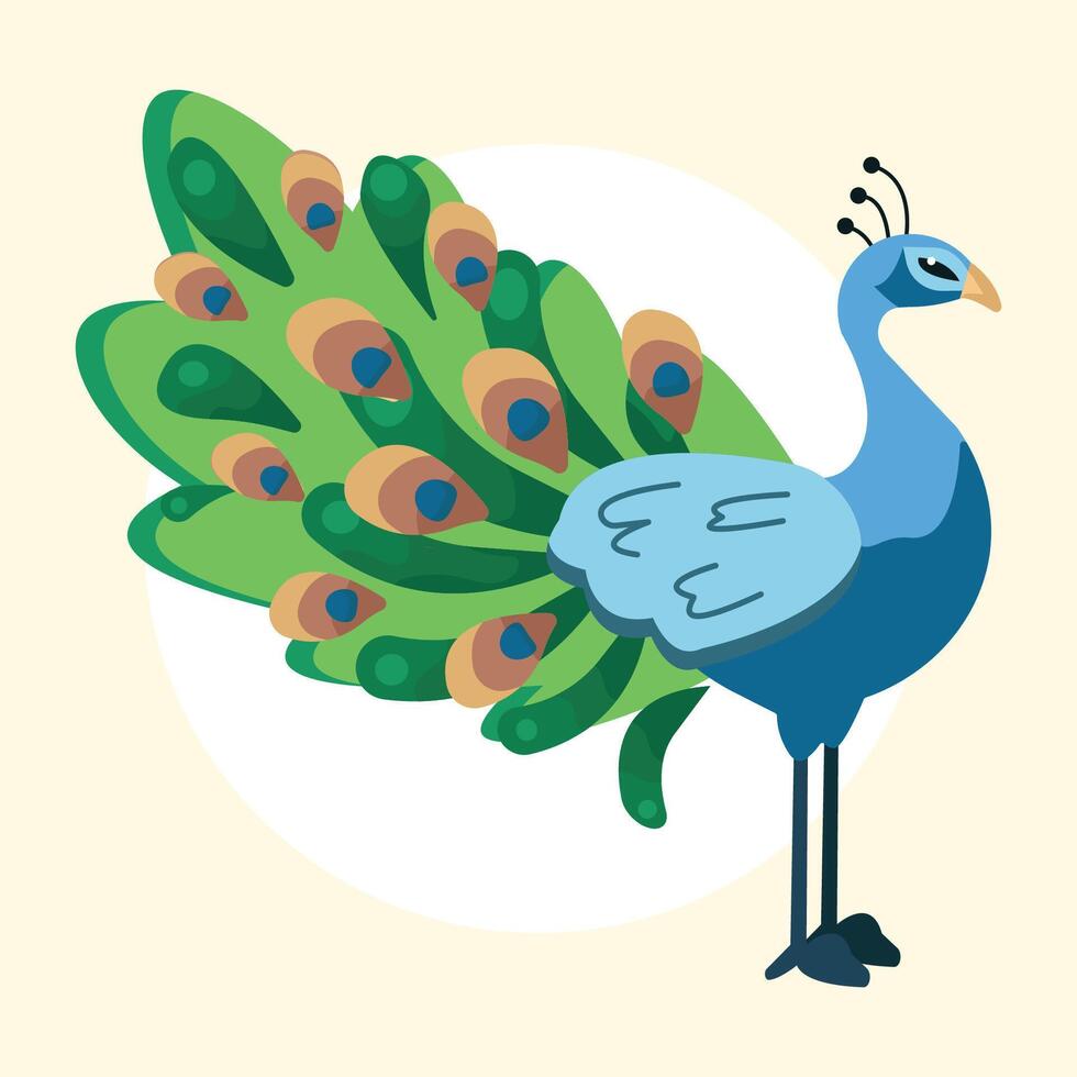 cute peacock illustration vector