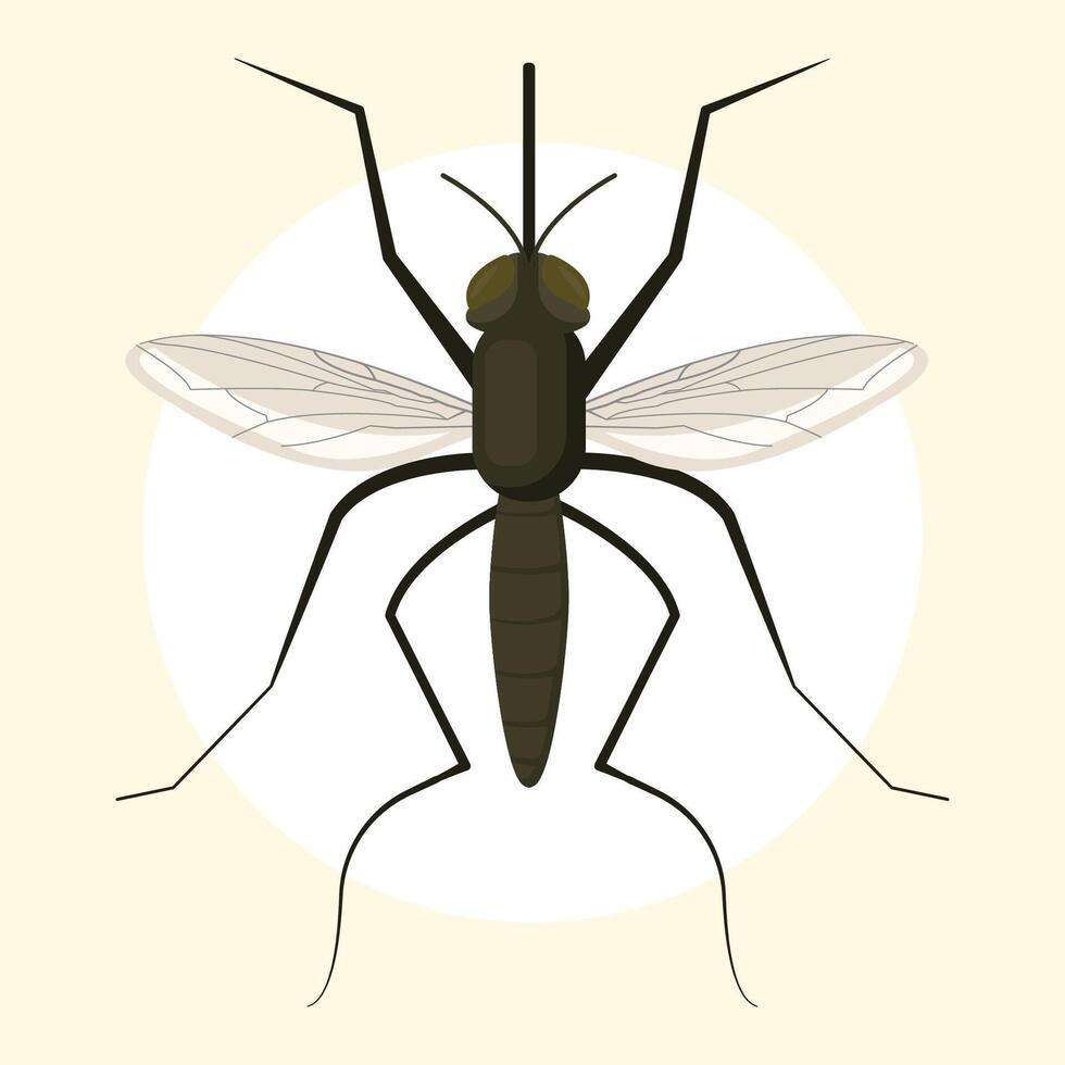 cute mosquito insect vector