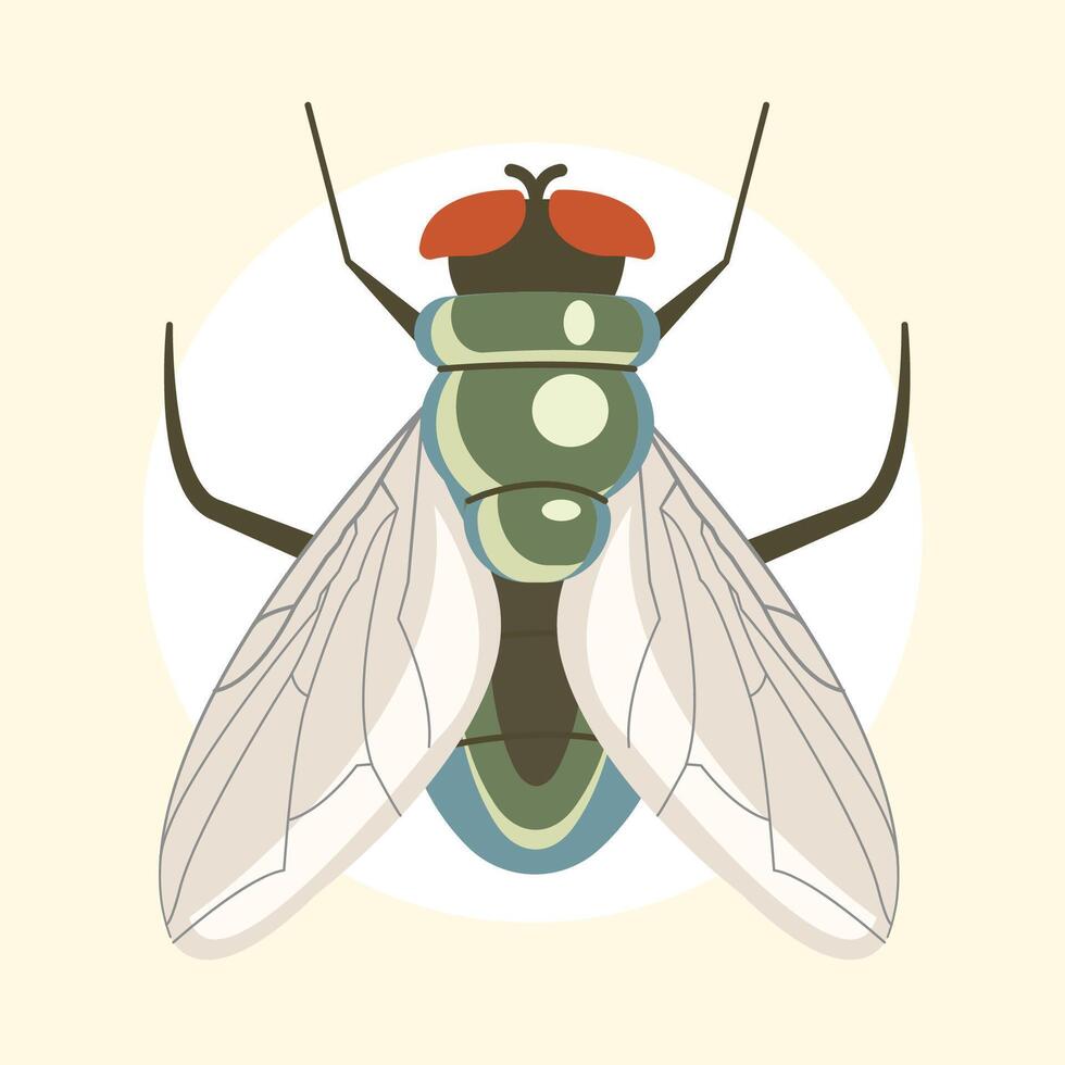 fly insect illustration vector