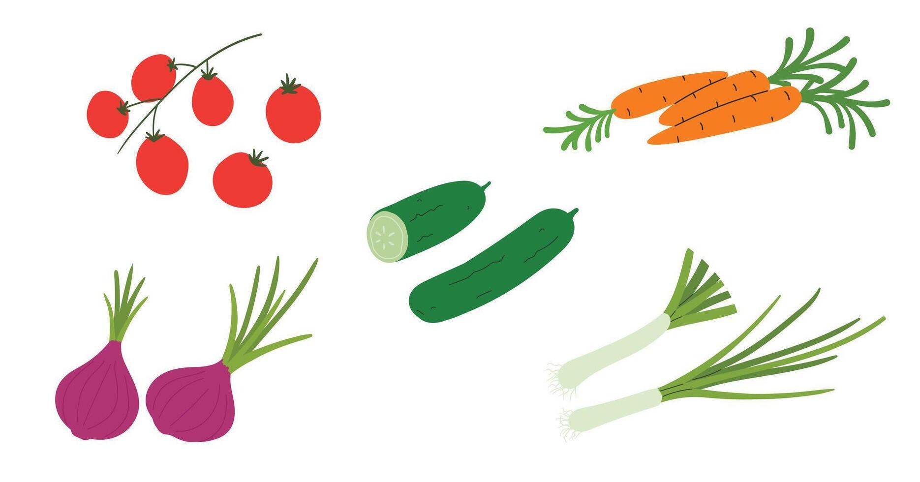 Fresh Vegetable set, onions, cucumber, leek, carrot and cherry tomatoes branch. organic healthy food vector