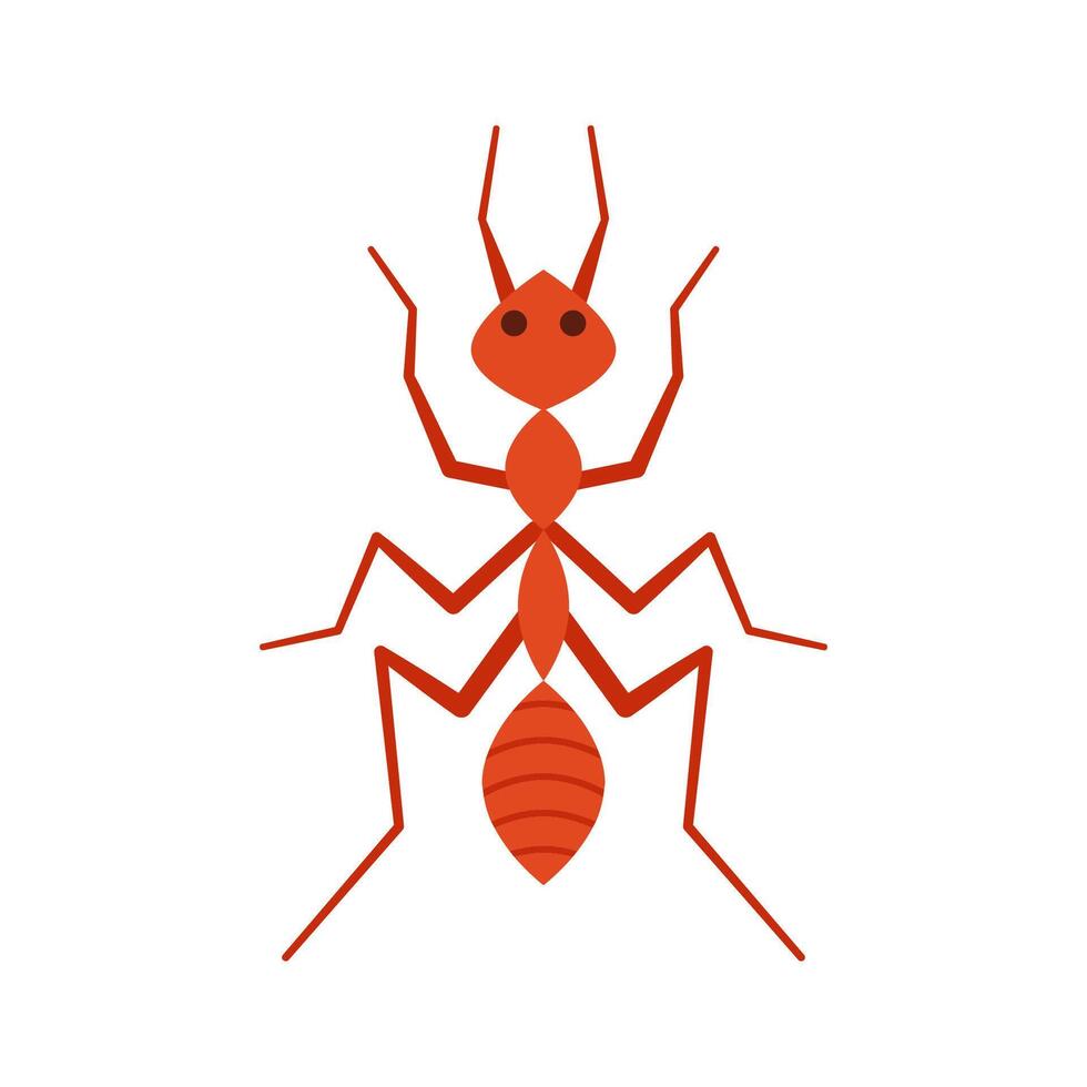 Ant character . Ant on white background. vector