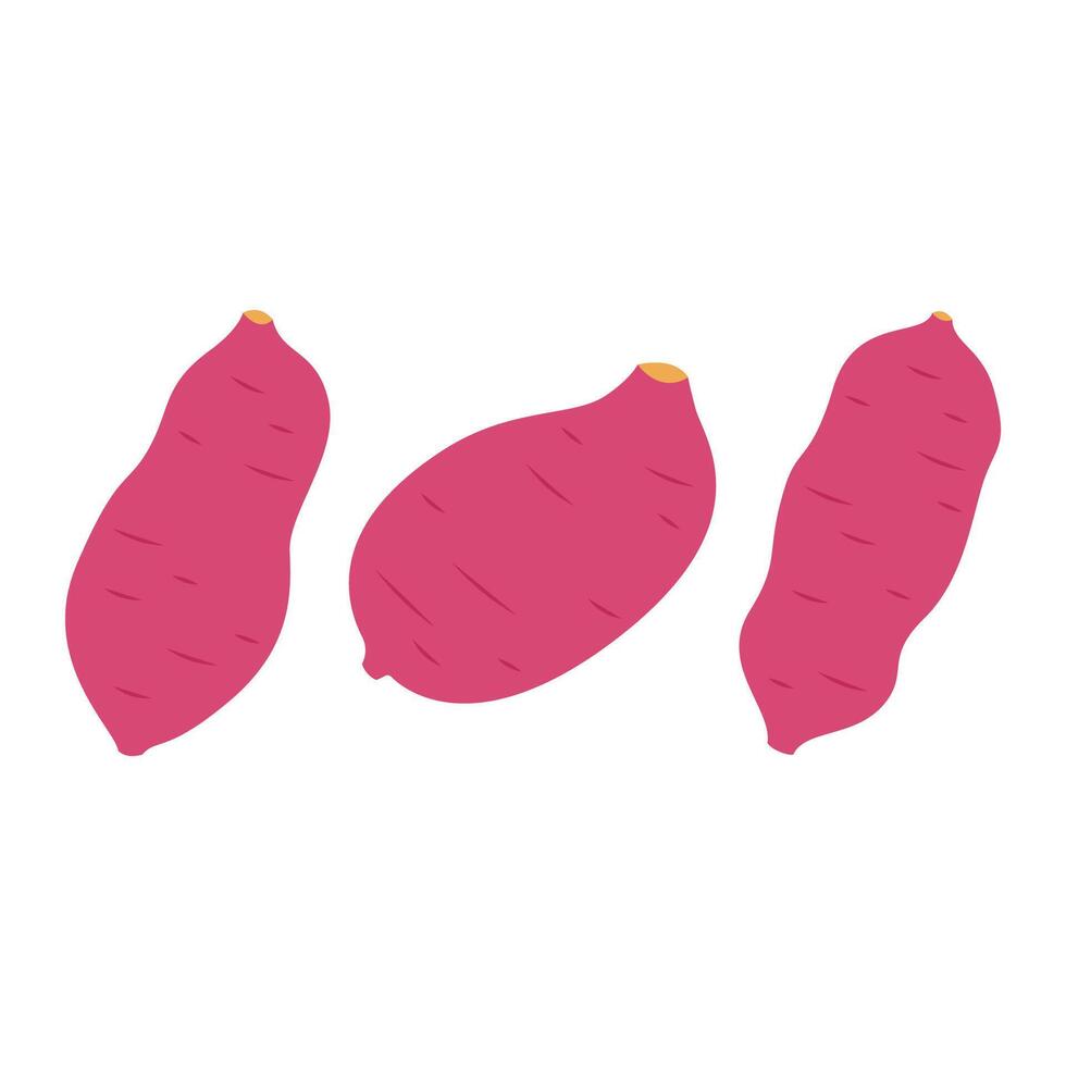 Roasted sweet potato. Roasted sweet potato logo design. Japanese Sweet potato. vector