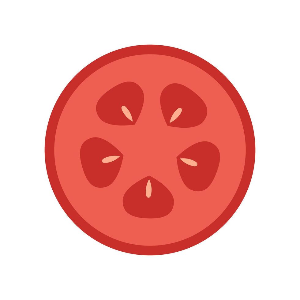 Tomato slice on white background. Tomato slice cartoon . vector
