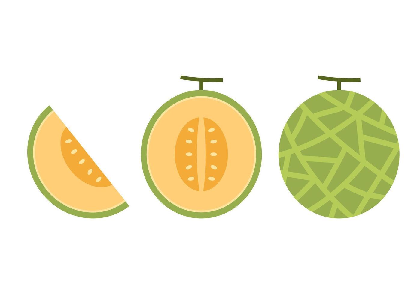 Melon . melon on white background. wallpaper. logo design. vector