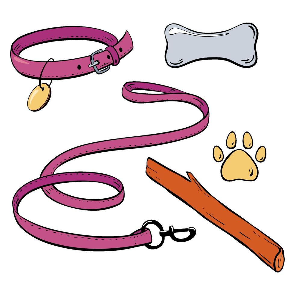 Essential Dog Accessories Colorful Collar, Sturdy Leash, Fun Bone, and Cute Paw Print. illustration. Pet shop vector