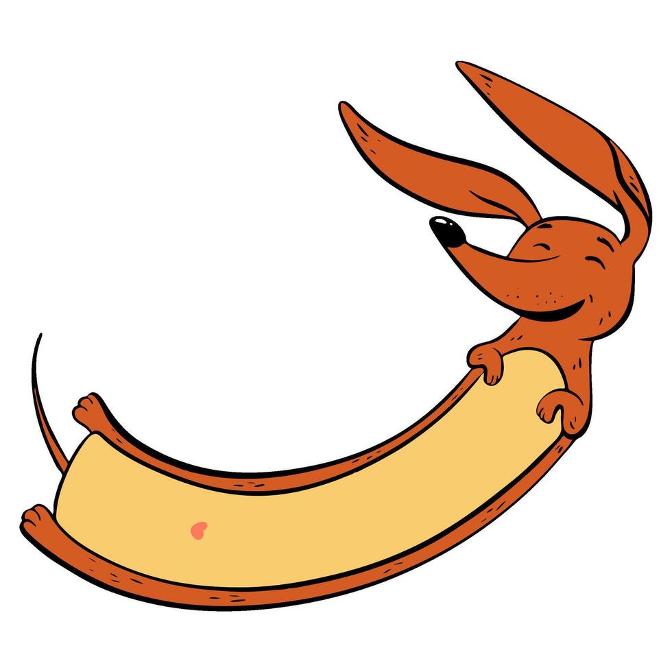 This cheerful and happy cartoon dachshund character long brown joyful dachshund. illustration. Pet shop vector