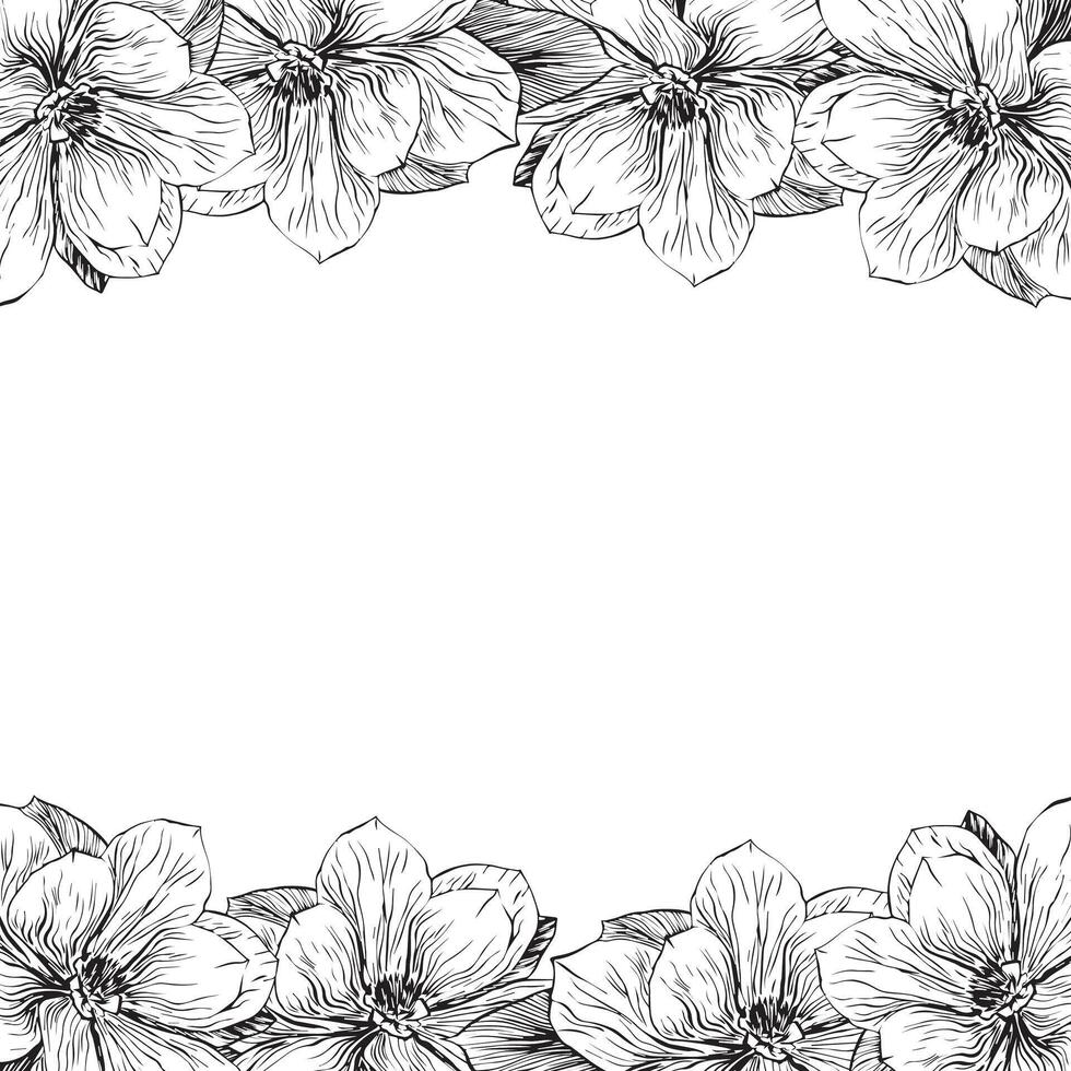 Magnolia flowers border, floral arrangement as a frame for design. Magnolia branch flower. illustration vector