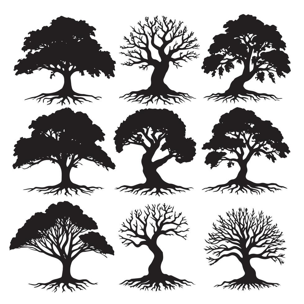 Silhouette of Majestic Oak Tree vector