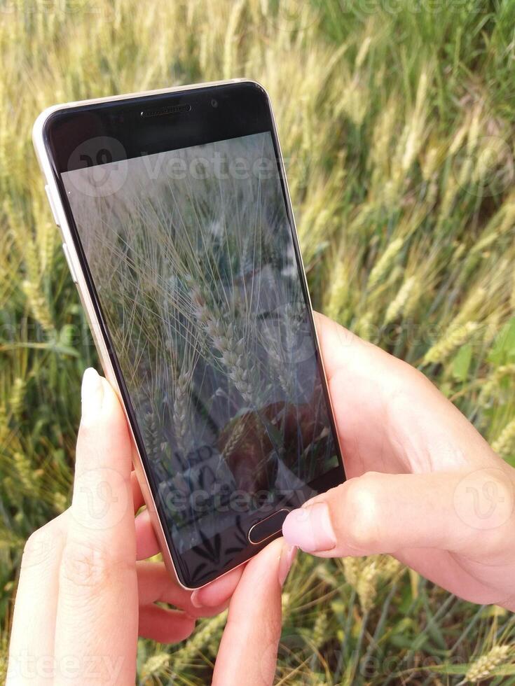Capturing the breathtaking beauty of Nature using a Smartphone is truly rewarding photo