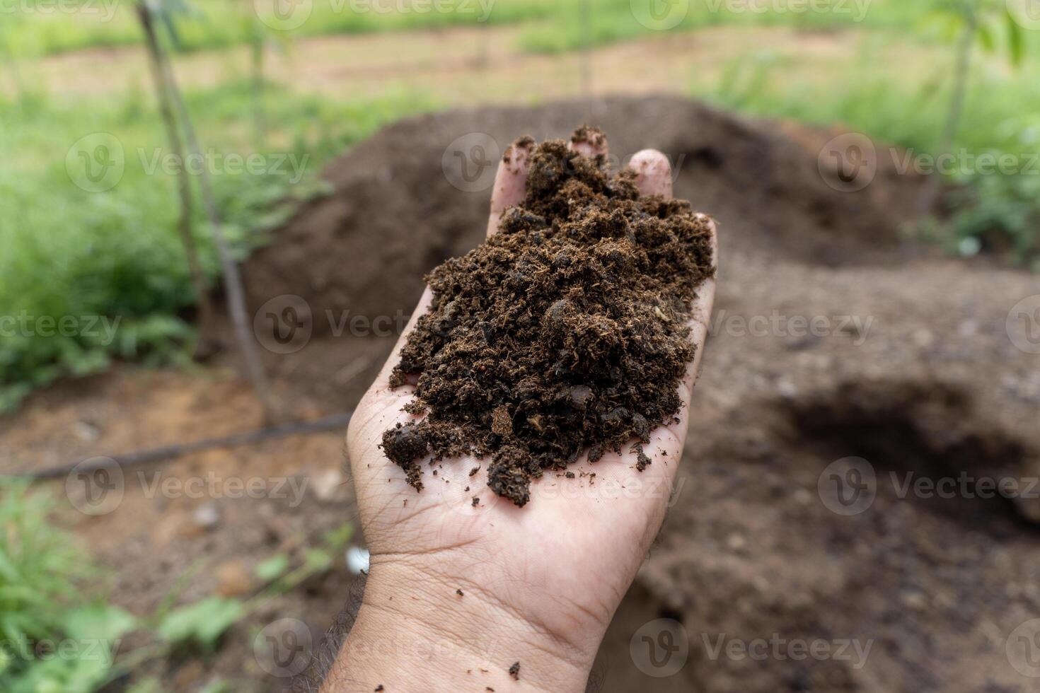 A hand is holding a pile of soil with a pile of dirt and a pile of soil photo