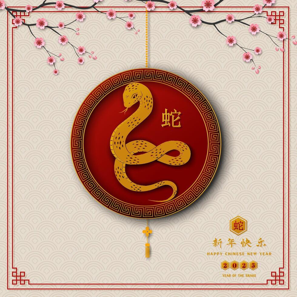 Chinese new year 2025,Snake zodiac sign on asian style,Chinese translate mean Happy new year 2025,Year of the snake vector