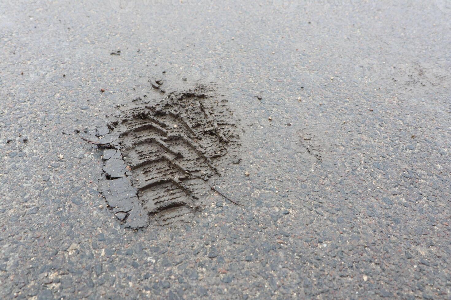 An Imprint of a Tire Track on a Wet Asphalt Surface Captured in a Photographic Scene photo