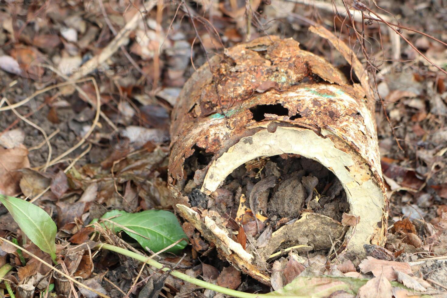 A Rusty Container is Found Amidst the Surrounding Beauty of Natures Gradual Decay photo