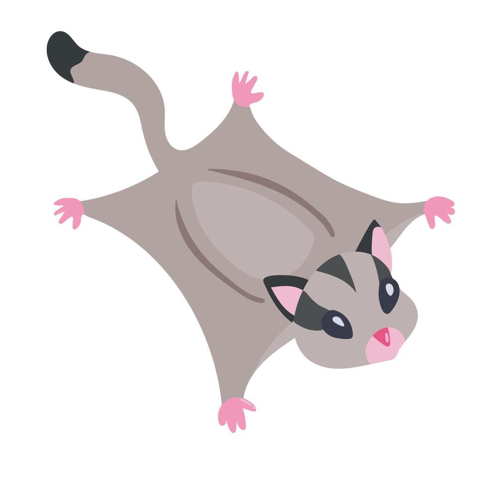 Sugar glider icon clipart avatar logotype concepte isolated illustration vector