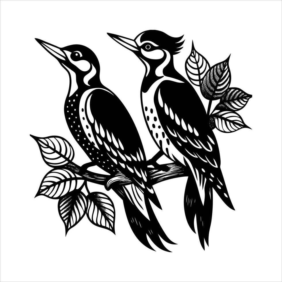 Woodpecker Tree Branch vector