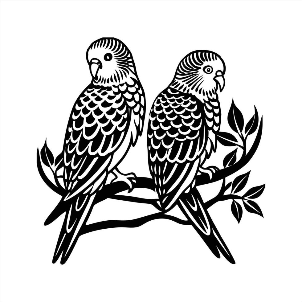 Two Budgie Parrot Sitting vector