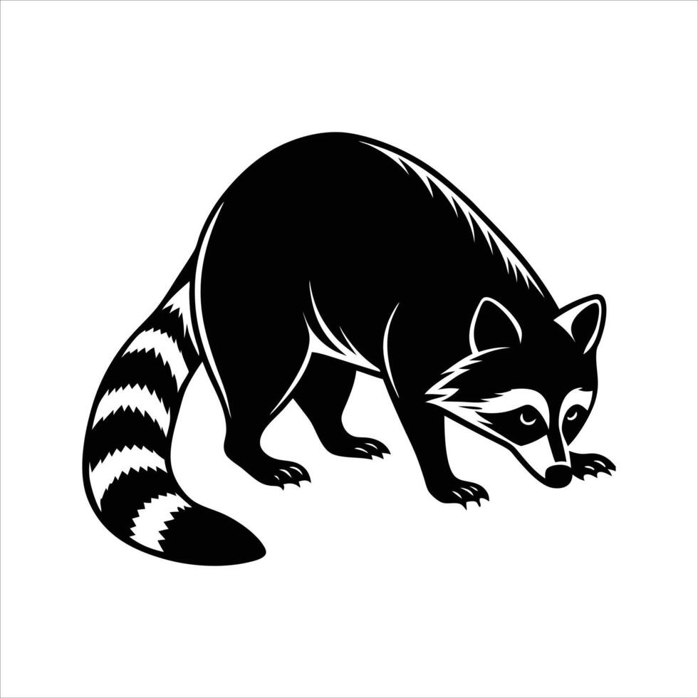 Curious Raccoons Foraging Adventures vector