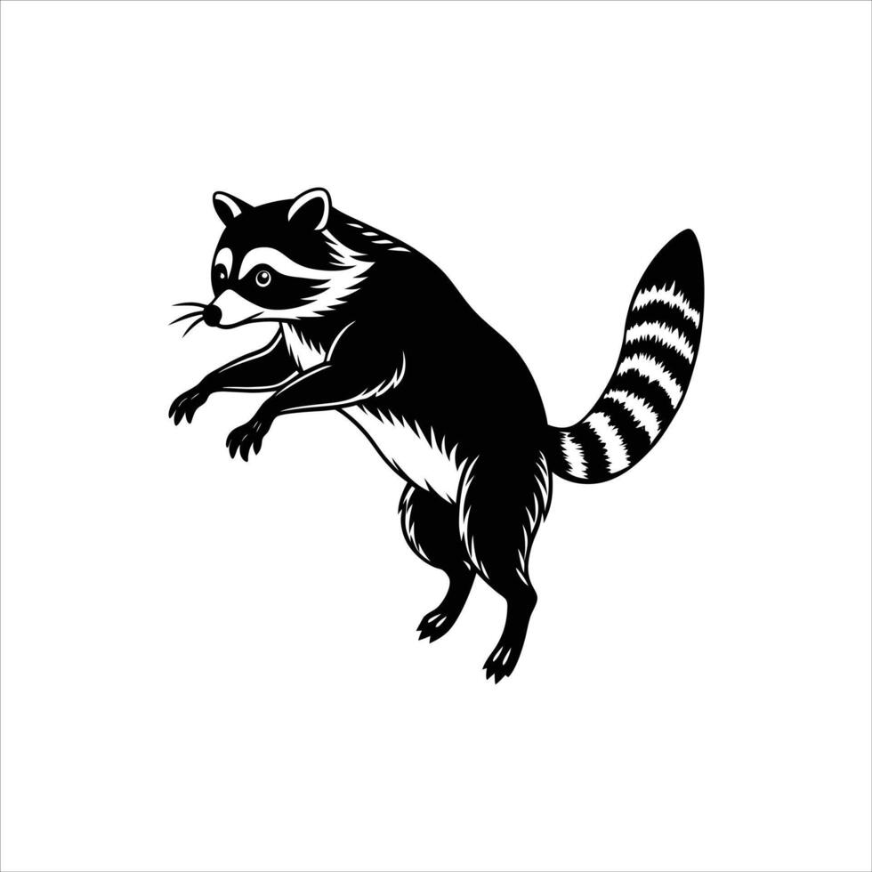 Peeking Raccoon Images vector
