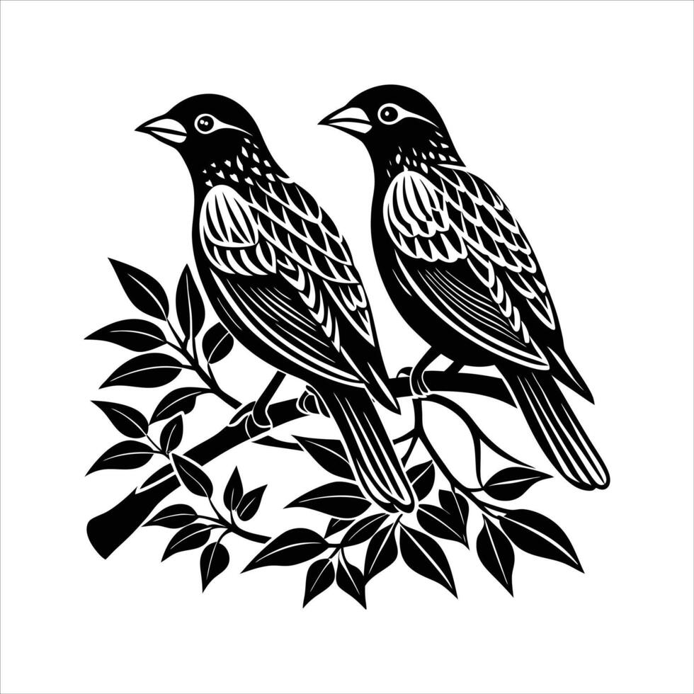 Columbidae Birds Vectors