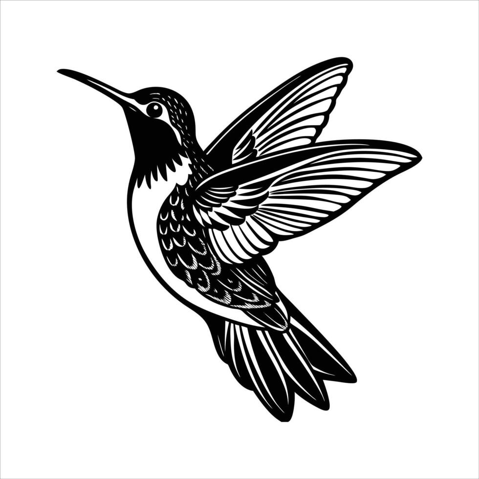 Hummingbird in Flight Illustration vector