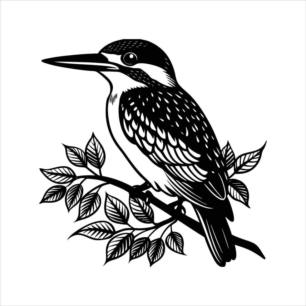 Common Kingfisher Bird vector