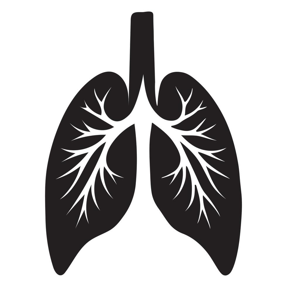 Detailed Silhouette Illustration of Human Lungs vector