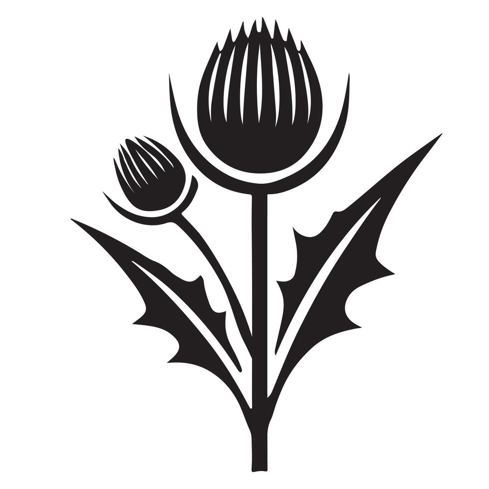 Elegant Silhouette Thistle Flower Illustration vector