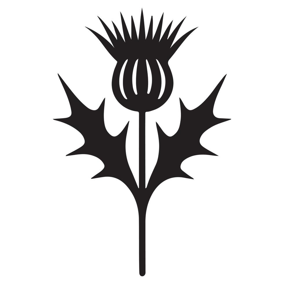 Elegant Thistle Silhouette Botanical Illustration vector