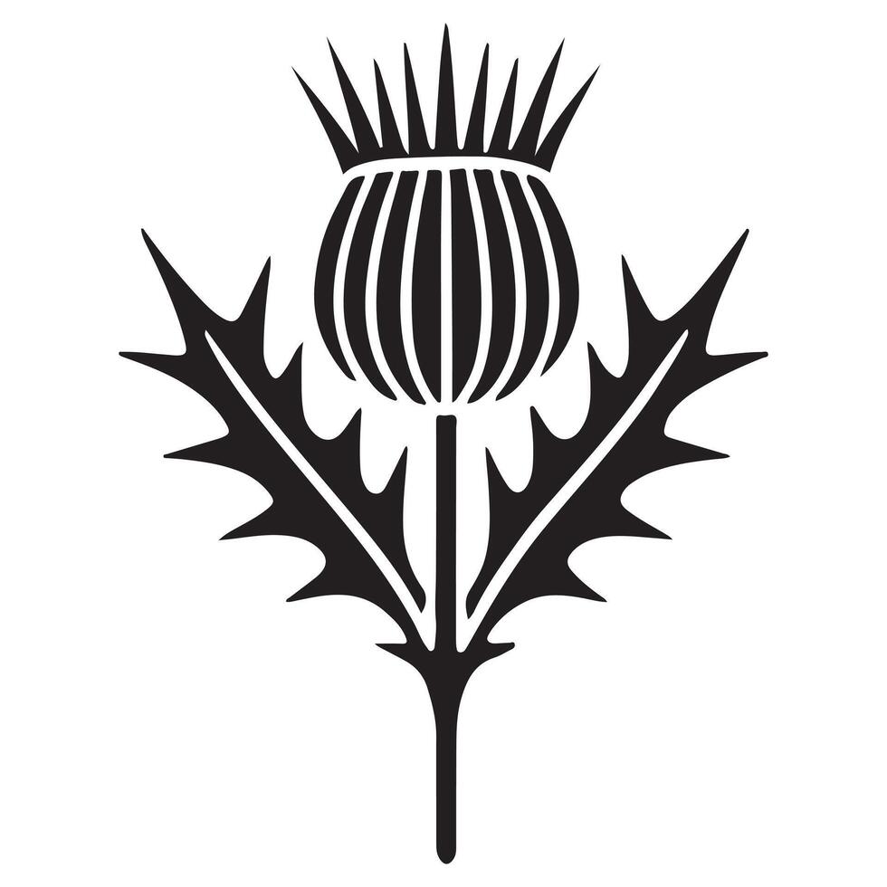 Scottish Thistle Silhouette Botanical Illustration vector