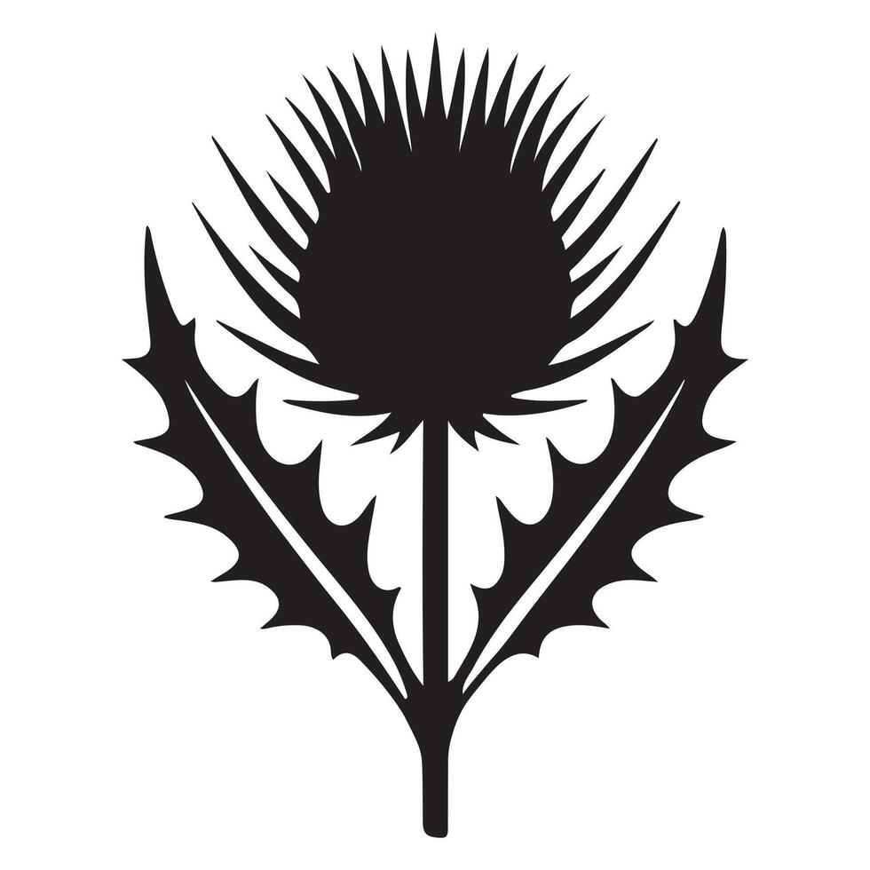 Bold Thistle Silhouette Illustration for Botanical or Heraldic Designs vector