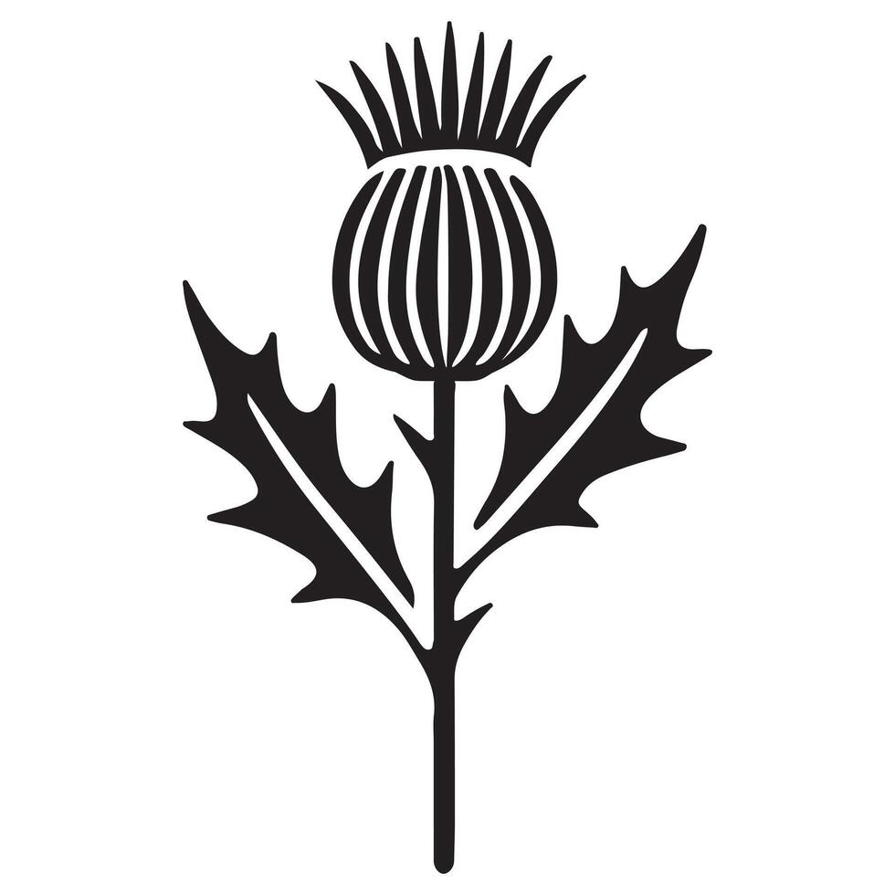 Detailed Thistle Flower Silhouette Illustration for Botanical Designs vector