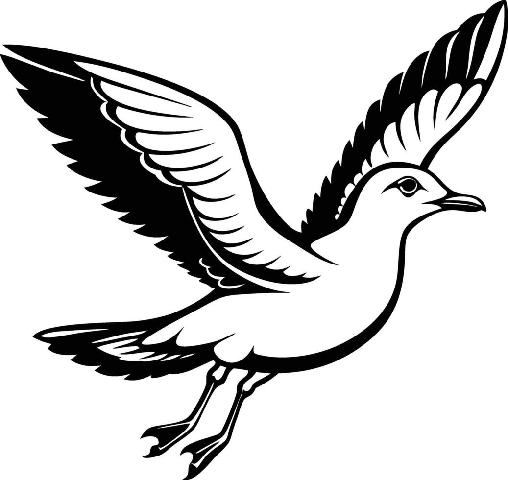 Seagull flying black and white vector