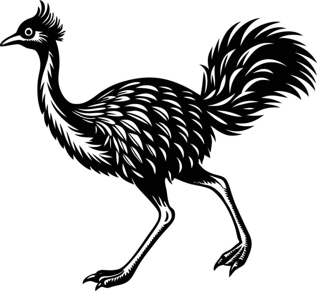Emu black and white vector