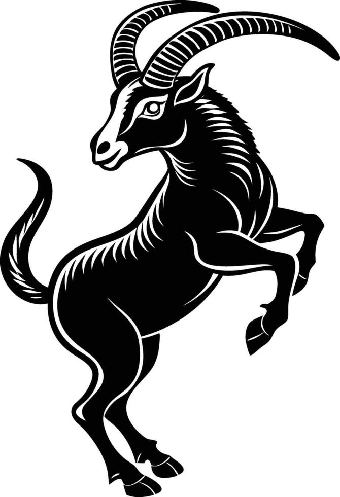 The black and white goat is standing on its hind legs vector