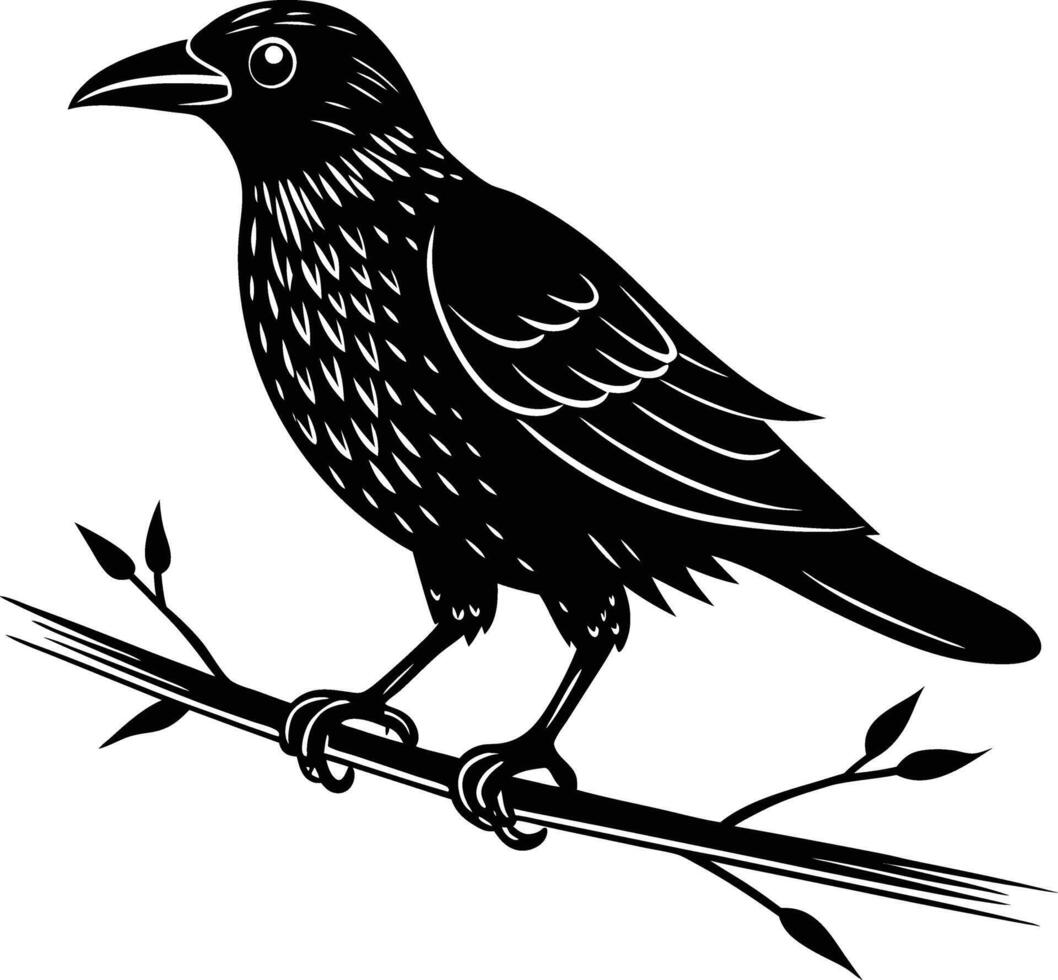 Black raven on branch vector