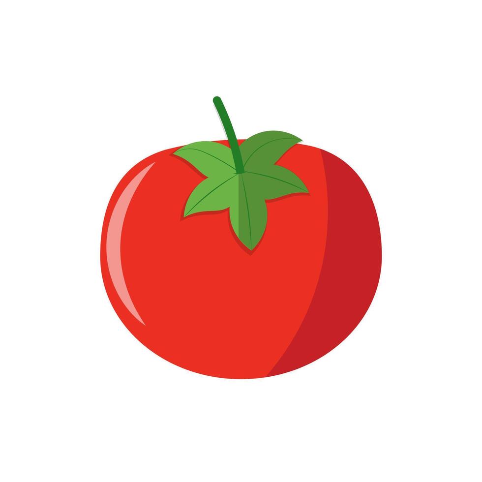 tomato flat icon on white background vector
