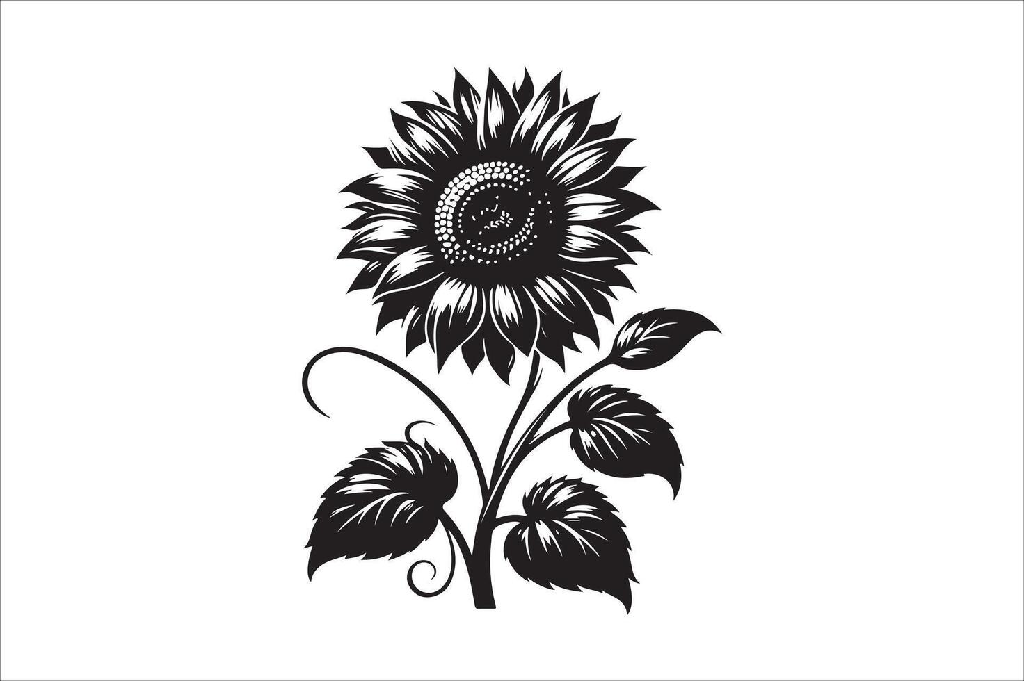A black and white sunflower on a white background vector