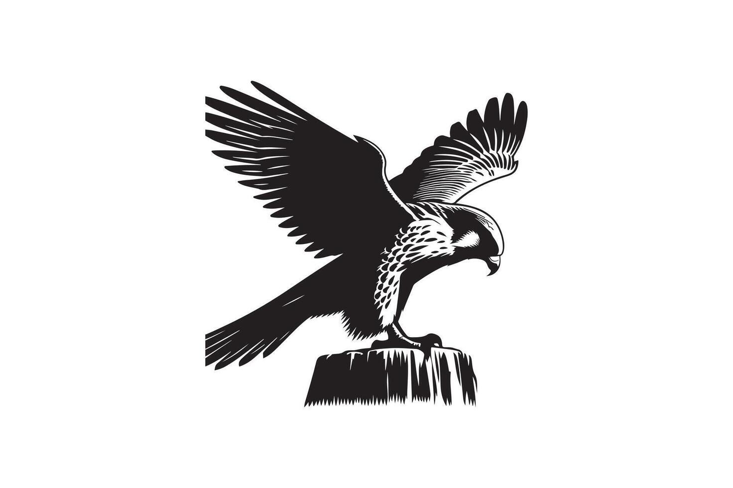 A black and white illustration of an eagle vector
