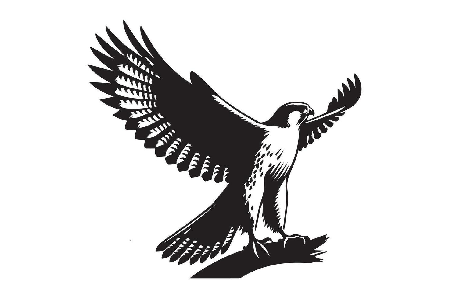 A black and white illustration of an eagle vector