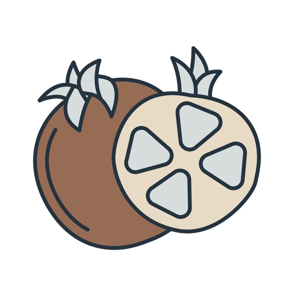Pomegranate icons symbol elements for infographic web vector