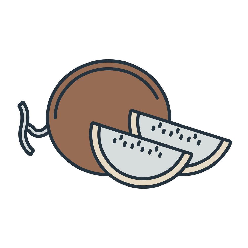 cantaloupe icons symbol elements for infographic web vector