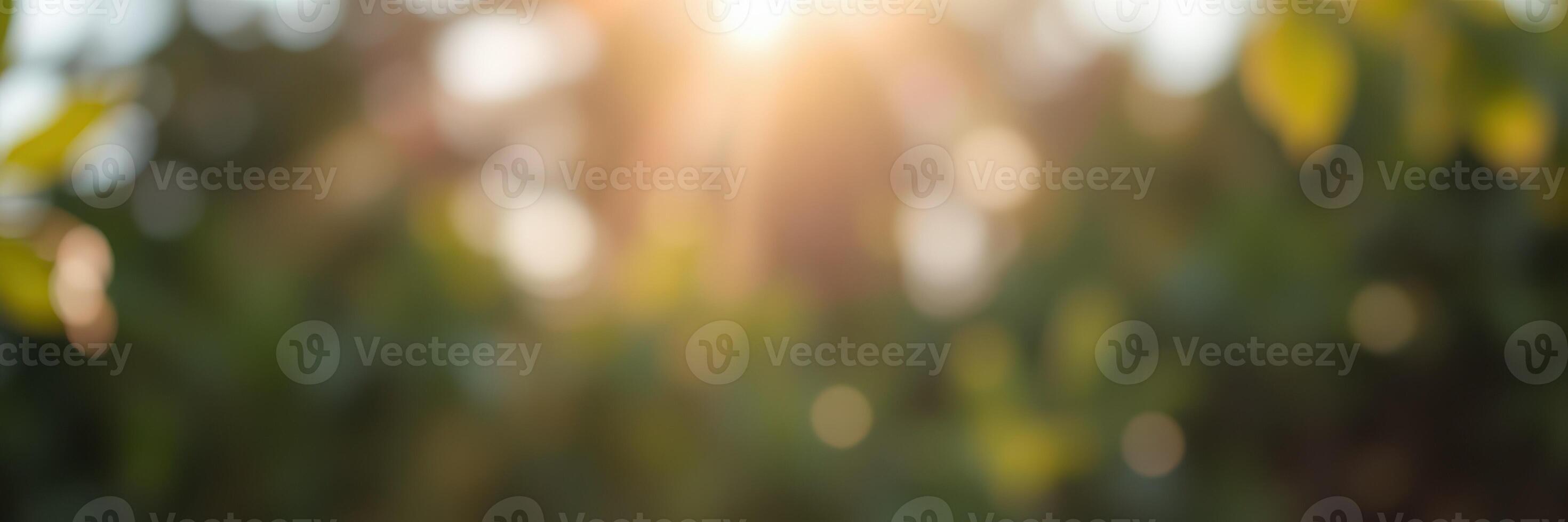 Soft sunlight filters through green leaves in a tranquil outdoor setting during early morning hours photo