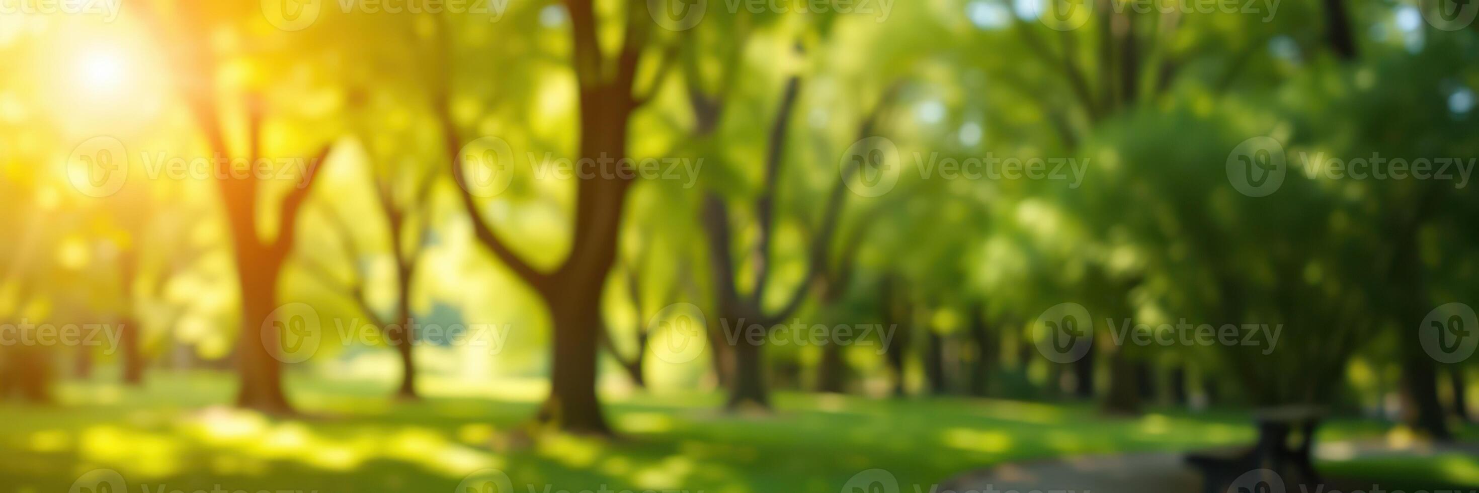 Sunlight filters through lush trees in a serene park setting during a sunny afternoon photo