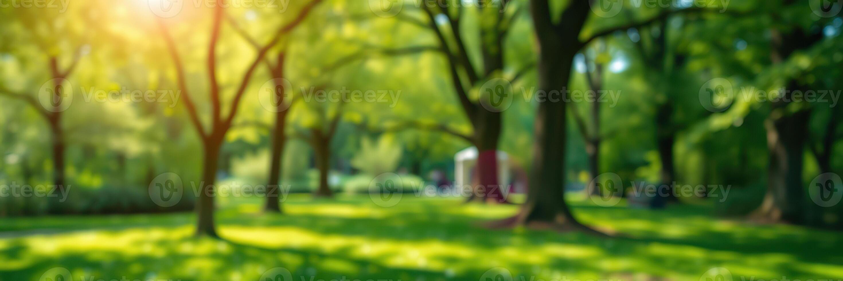 Serene afternoon in a vibrant park filled with lush greenery and soft sunlight filtering through tall trees photo