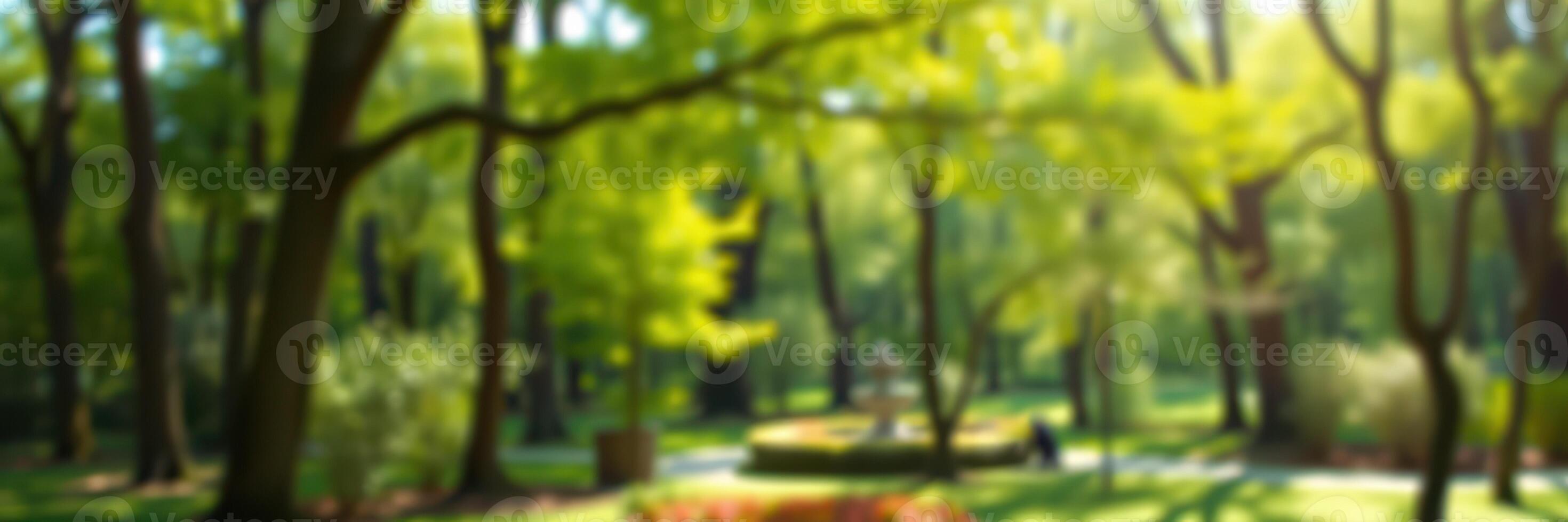 Calm afternoon in a lush green park with trees and sun-dappled pathways photo