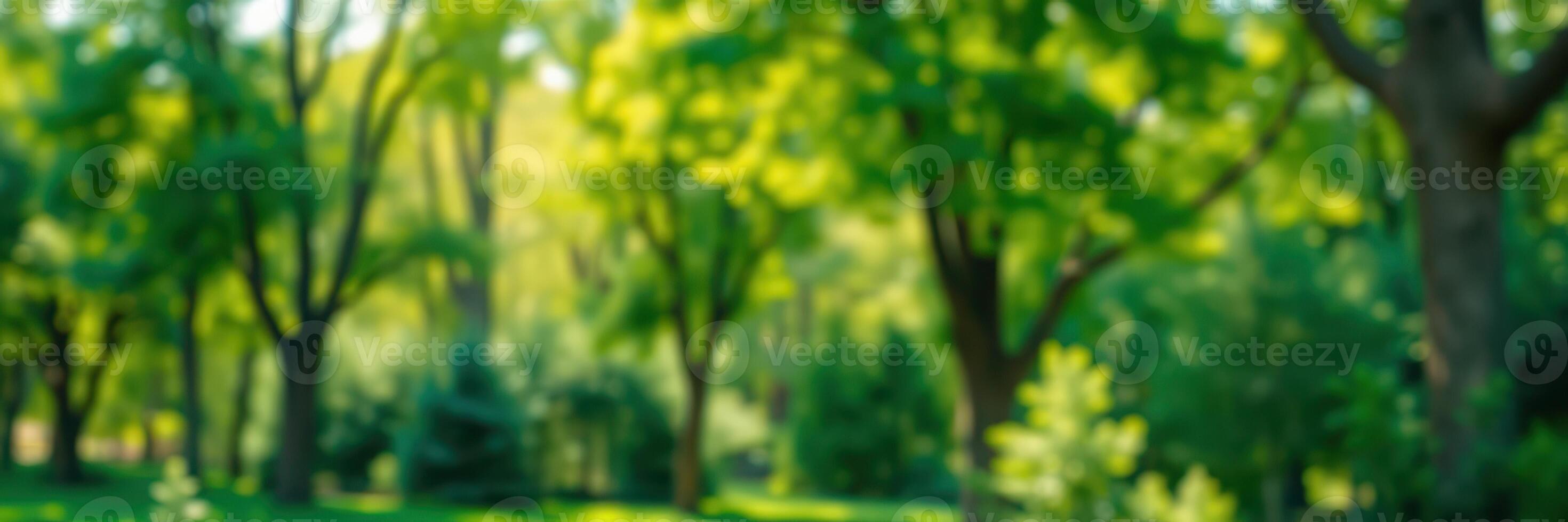 Lush green trees create a peaceful atmosphere in a sunlit park during the afternoon photo