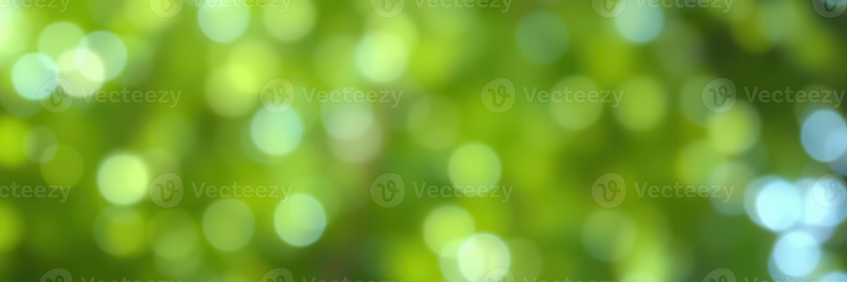 Natural bokeh effect created by sunlight filtering through lush green leaves in a serene outdoor setting photo