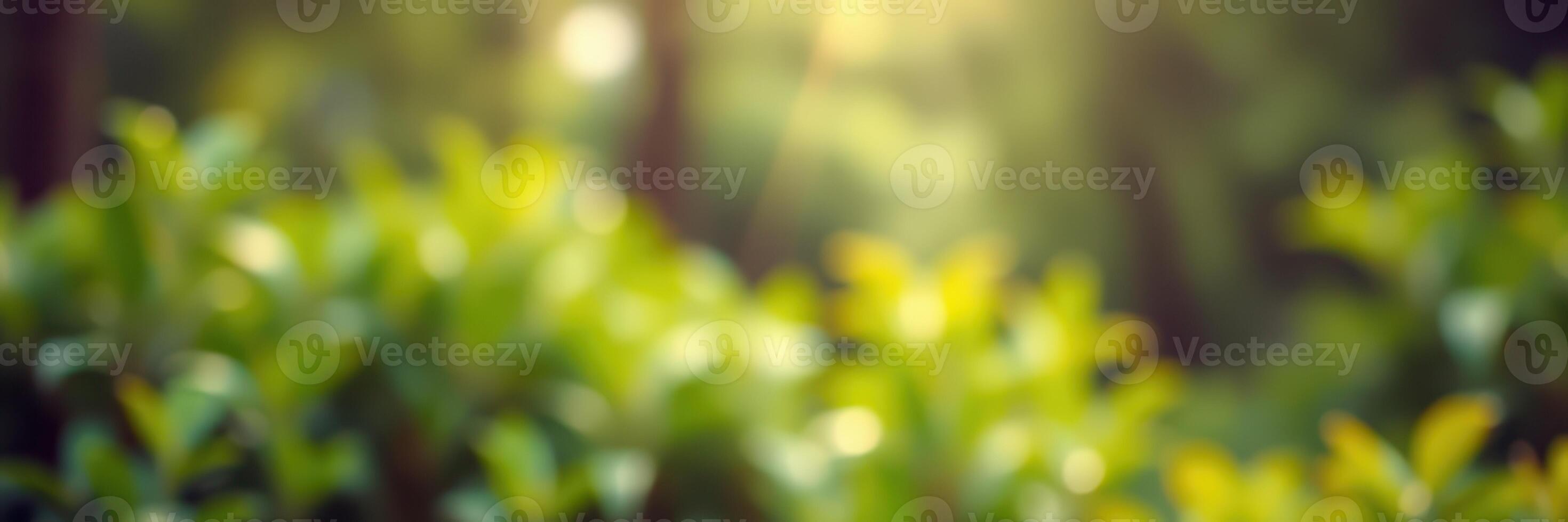 Sunlight filters through green leaves in a tranquil forest setting during late afternoon hours photo